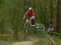 DSCF6010
